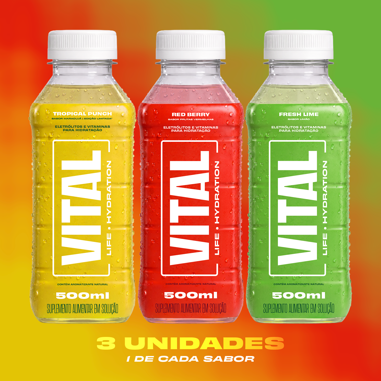 Vital Hydration - Variety Pack (3un)